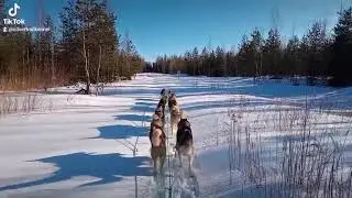 Умиротворение