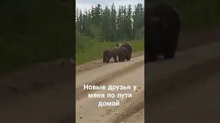 22 июня 2024 г.