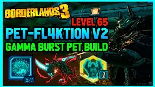 Borderlands 3 | PET - FL4KTION V2 Gamma Burst Pet Build | Pets Are CRAZY! | Level 65 (PC Save File)