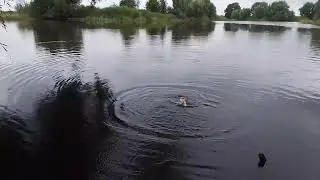 Рыбалка Карп. Ловля карпа на поплавок.