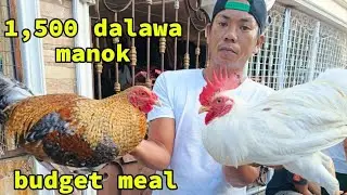 DAMING MANOK PANG  BUDGET MEAL MALOLOS BULACAN PET MARKET#BAKWITTV