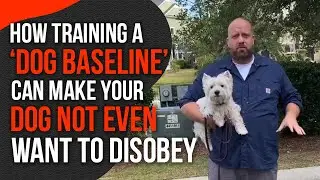 Use a Dog Training Baseline to Help Your Dog Not Even WANT to Disobey