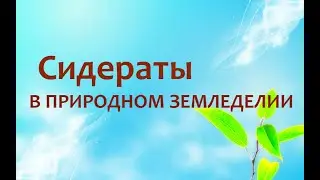 Природное земледелие - Сидераты