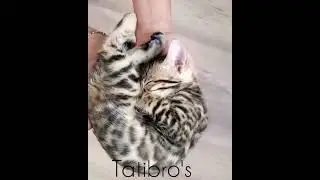 Счастье в лодошках 🥰 