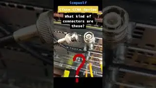 Cisco CCNA: Trick Question: What network connector is this? - icmpwolf