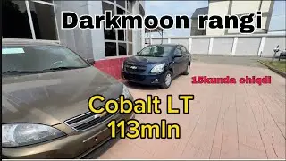 Cobalt Mt Darkmoon rangi 113mln tezkor