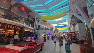 Royal Caribbean Wonder of the Seas Cruise to Coco Cay - Cozumel - Roatan - Costa Maya - Amazing !!🚢