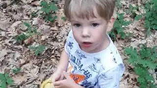 SANJA I FILIP - FILIPOVE AVANTURE - LOV NA PECURKE