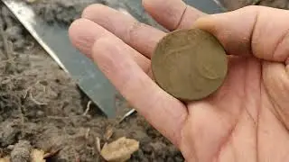Что можно найти в лесу с металлоискателем?
