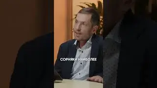 🆕 «СИНГЕНТА», ХЕЛП*!: раскрываем секреты защиты от злаковой сорной растительности #shorts