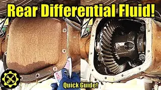 Ford F150 9.75 Rear Differential Fluid - Quick Guide!
