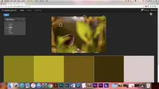 Photoshop Color Palette Using Adobe Color CC (Adobe Kuler)