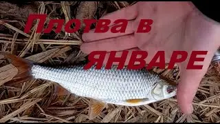 плотва в январе , рыбалка в Запорожье 2021