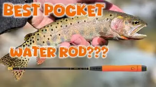 Best Pocket Water Rod??? Tanuki 325
