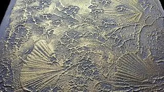 Simple Decorative Plaster of putty ! How to make with your own hands.