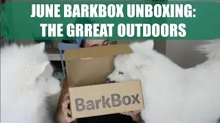 June BarkBox Unboxing: The Grreat Outdoors!