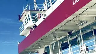 Galveston-Bolivar Ferry part 1 #dolphin #nature #galveston #ferry #dusk #birds
