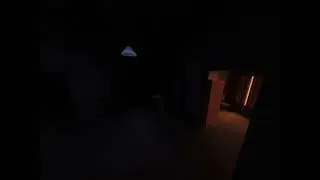Creepy music and field of view in Max Payne