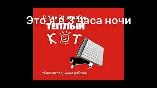 Теплый кот