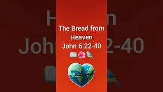 John 6:1-40 NKJV Feeding the Five Thousand, Jesus Walks on the Sea, The Bread from Heaven