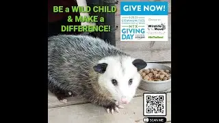 VIDEO - NTGD 2021 Early Giving Promo Slitherin for Support! BT Skink