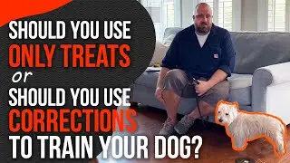 Balanced Dog Training or Purely Positive Dog Training?  (It makes a big difference)