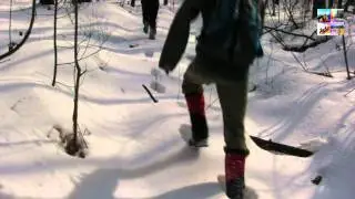 Беговой кросс-поход 