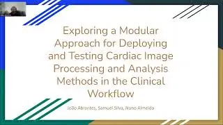 Exploring a Modular Approach for Deploying and Analysis Methods in the Clinical Workflow