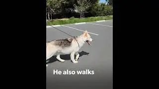 This is Lightning and he is STRIKING!
