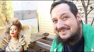 Beyonce Has 80,000 BEES