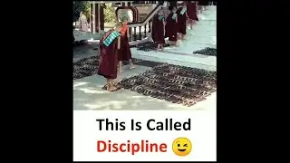 Discipline | Memes #shorts #memes #youtubeshorts