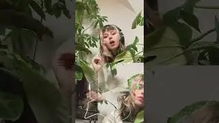 these plants make music?
