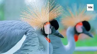 How to Colour Grade in VN 😍