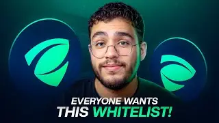 Zero Knowledge Proof Whitelist: Why ZKP Built a $100M Network Before Presale