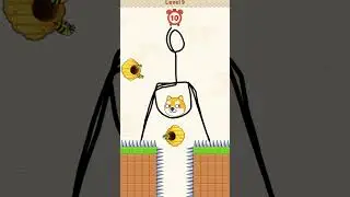 Save The Dog 