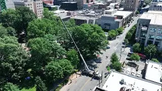A look from above at the Nash Square tree removal in downtown Raleigh