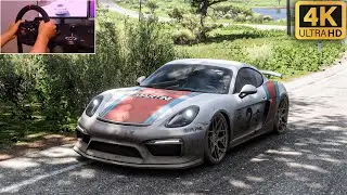 Porsche Cayman GT4 - Forza Horizon 5 | (Steering Wheel PXN V10) Gameplay