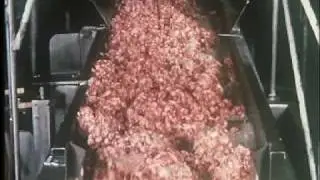 Jazzy Meat Processing Educational Film - 2/3