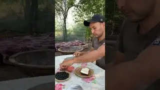 Snack in nature / Перекус на природе