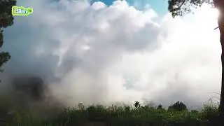 Туман качан жана эмне үчүн болот?