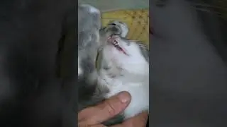 Понедельник - день тяжёлый🌝👍
