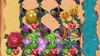 Stonk³ + Bird Of Paradise