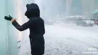 Snow Fall In Japan Nature Status Video | Nature Sounds | Nature Status