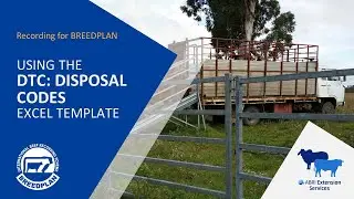 Using the Days To Calving: Disposal Codes Excel Template