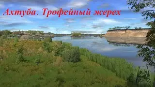 Русская рыбалка 4, РР4, RF4 - Жерех, Ахтуба, трофей и фарм