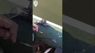 Хариус. Дуплет. Байкал 2024.