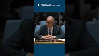 Marwan Muasher addresses UN Security Council