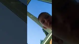 203 подписчика