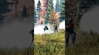 КАРУСЕЛИ ЧЗО  #stalker #stalkerrp #сталкер  #dayzrp #dayz
