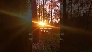 #осень 🍂✨🍁